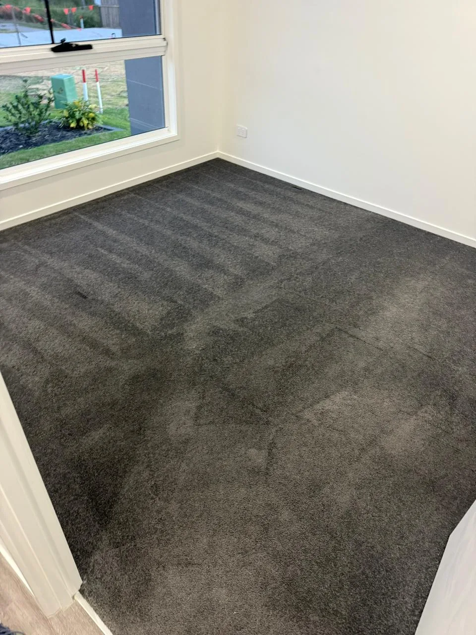Commercial hot water extraction wand lifting embedded sand and pet stains from living room carpet